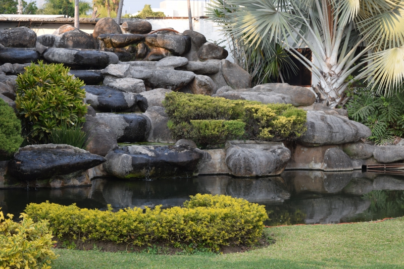 paysagiste-RAYOL CANADEL SUR MER-min_garden-green-rock-natural-landscape-wall-grass-1613997-pxhere.com